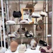 ヒメ日記 2025/11/09 11:36 投稿 有村もえ プレジデントハウス