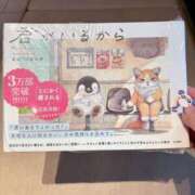 ヒメ日記 2025/11/14 08:55 投稿 有村もえ プレジデントハウス