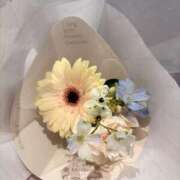 ヒメ日記 2025/11/15 17:26 投稿 有村もえ プレジデントハウス