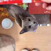 ヒメ日記 2025/11/15 19:12 投稿 有村もえ プレジデントハウス