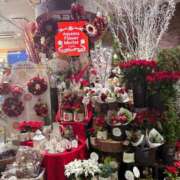 ヒメ日記 2025/11/17 19:36 投稿 有村もえ プレジデントハウス