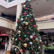 ヒメ日記 2025/11/18 11:33 投稿 有村もえ プレジデントハウス