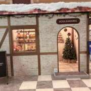 ヒメ日記 2025/11/18 15:30 投稿 有村もえ プレジデントハウス