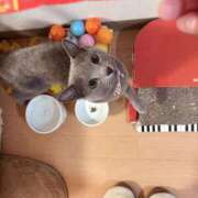 ヒメ日記 2025/11/22 07:45 投稿 有村もえ プレジデントハウス