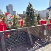 ヒメ日記 2025/11/23 12:42 投稿 有村もえ プレジデントハウス