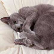 ヒメ日記 2025/11/28 08:46 投稿 有村もえ プレジデントハウス