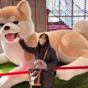 ヒメ日記 2025/12/19 05:55 投稿 有村もえ プレジデントハウス