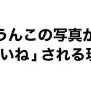 ヒメ日記 2023/12/18 17:32 投稿 朝霧-Asagiri- マニア東京　Mフェチ・アブノーマル専門店