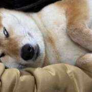 ヒメ日記 2025/02/26 11:40 投稿 朝霧-Asagiri- マニア東京　Mフェチ・アブノーマル専門店