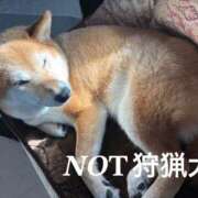 ヒメ日記 2025/03/02 01:11 投稿 朝霧-Asagiri- マニア東京　Mフェチ・アブノーマル専門店