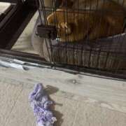 ヒメ日記 2025/04/19 01:21 投稿 朝霧-Asagiri- マニア東京　Mフェチ・アブノーマル専門店