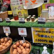 ヒメ日記 2025/05/20 09:24 投稿 朝霧-Asagiri- マニア東京　Mフェチ・アブノーマル専門店