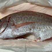 ヒメ日記 2025/06/18 05:28 投稿 朝霧-Asagiri- マニア東京　Mフェチ・アブノーマル専門店