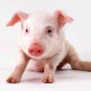 ヒメ日記 2025/07/01 19:42 投稿 朝霧-Asagiri- マニア東京　Mフェチ・アブノーマル専門店