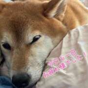 ヒメ日記 2025/07/31 00:45 投稿 朝霧-Asagiri- マニア東京　Mフェチ・アブノーマル専門店