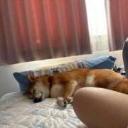 ヒメ日記 2025/08/14 07:38 投稿 朝霧-Asagiri- マニア東京　Mフェチ・アブノーマル専門店