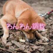 ヒメ日記 2025/08/24 01:24 投稿 朝霧-Asagiri- マニア東京　Mフェチ・アブノーマル専門店