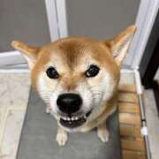 ヒメ日記 2025/09/09 14:38 投稿 朝霧-Asagiri- マニア東京　Mフェチ・アブノーマル専門店