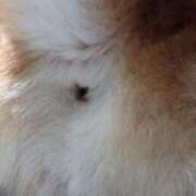 ヒメ日記 2025/10/15 22:51 投稿 朝霧-Asagiri- マニア東京　Mフェチ・アブノーマル専門店