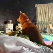 ヒメ日記 2025/10/23 07:00 投稿 朝霧-Asagiri- マニア東京　Mフェチ・アブノーマル専門店