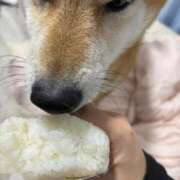 ヒメ日記 2025/11/22 21:34 投稿 朝霧-Asagiri- マニア東京　Mフェチ・アブノーマル専門店