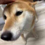 ヒメ日記 2025/11/30 20:02 投稿 朝霧-Asagiri- マニア東京　Mフェチ・アブノーマル専門店