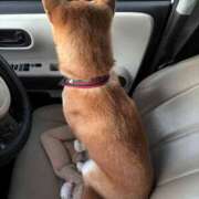 ヒメ日記 2025/12/06 06:29 投稿 朝霧-Asagiri- マニア東京　Mフェチ・アブノーマル専門店