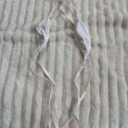 ヒメ日記 2025/12/11 14:41 投稿 朝霧-Asagiri- マニア東京　Mフェチ・アブノーマル専門店