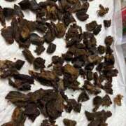 ヒメ日記 2025/12/15 09:52 投稿 朝霧-Asagiri- マニア東京　Mフェチ・アブノーマル専門店