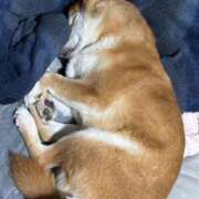 ヒメ日記 2025/12/16 23:29 投稿 朝霧-Asagiri- マニア東京　Mフェチ・アブノーマル専門店