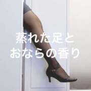 ヒメ日記 2025/12/22 01:09 投稿 朝霧-Asagiri- マニア東京　Mフェチ・アブノーマル専門店