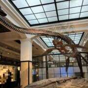 ヒメ日記 2025/12/22 11:35 投稿 朝霧-Asagiri- マニア東京　Mフェチ・アブノーマル専門店