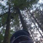 ヒメ日記 2026/01/11 08:14 投稿 朝霧-Asagiri- マニア東京　Mフェチ・アブノーマル専門店