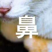 ヒメ日記 2026/01/14 17:53 投稿 朝霧-Asagiri- マニア東京　Mフェチ・アブノーマル専門店