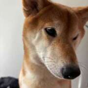 ヒメ日記 2026/02/04 16:27 投稿 朝霧-Asagiri- マニア東京　Mフェチ・アブノーマル専門店