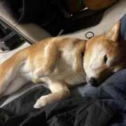 ヒメ日記 2026/02/07 00:56 投稿 朝霧-Asagiri- マニア東京　Mフェチ・アブノーマル専門店