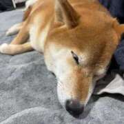 ヒメ日記 2026/03/14 23:00 投稿 朝霧-Asagiri- マニア東京　Mフェチ・アブノーマル専門店