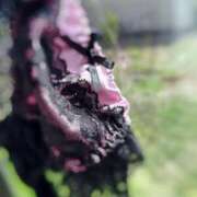 ヒメ日記 2026/04/14 14:02 投稿 朝霧-Asagiri- マニア東京　Mフェチ・アブノーマル専門店