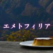 ヒメ日記 2026/08/13 00:19 投稿 朝霧-Asagiri- マニア東京　Mフェチ・アブノーマル専門店