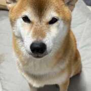 ヒメ日記 2026/10/28 01:45 投稿 朝霧-Asagiri- マニア東京　Mフェチ・アブノーマル専門店
