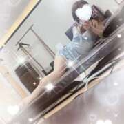 ヒメ日記 2024/12/14 08:23 投稿 柊(ひいらぎ) Anemone（アネモネ）