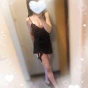 ヒメ日記 2025/04/14 13:20 投稿 柊(ひいらぎ) Anemone（アネモネ）