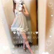 ヒメ日記 2025/04/27 08:28 投稿 柊(ひいらぎ) Anemone（アネモネ）