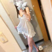 ヒメ日記 2025/05/03 12:03 投稿 柊(ひいらぎ) Anemone（アネモネ）