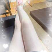 ヒメ日記 2025/05/26 14:43 投稿 柊(ひいらぎ) Anemone（アネモネ）