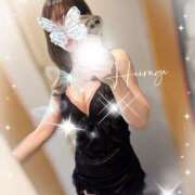 ヒメ日記 2025/05/30 07:14 投稿 柊(ひいらぎ) Anemone（アネモネ）