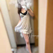 ヒメ日記 2025/06/01 08:31 投稿 柊(ひいらぎ) Anemone（アネモネ）