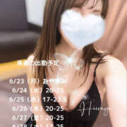 ヒメ日記 2025/06/23 13:08 投稿 柊(ひいらぎ) Anemone（アネモネ）