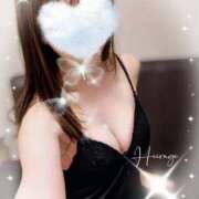 ヒメ日記 2025/06/24 11:25 投稿 柊(ひいらぎ) Anemone（アネモネ）