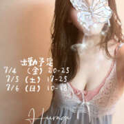 ヒメ日記 2025/07/03 19:47 投稿 柊(ひいらぎ) Anemone（アネモネ）